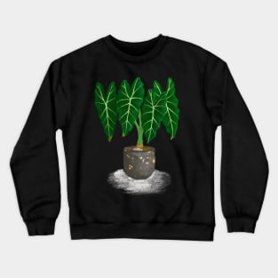 Alocasia Frydek Rare Plant Crewneck Sweatshirt